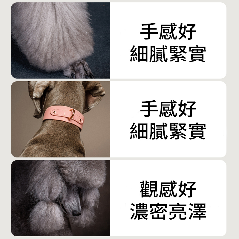 普安特犬用卵磷脂