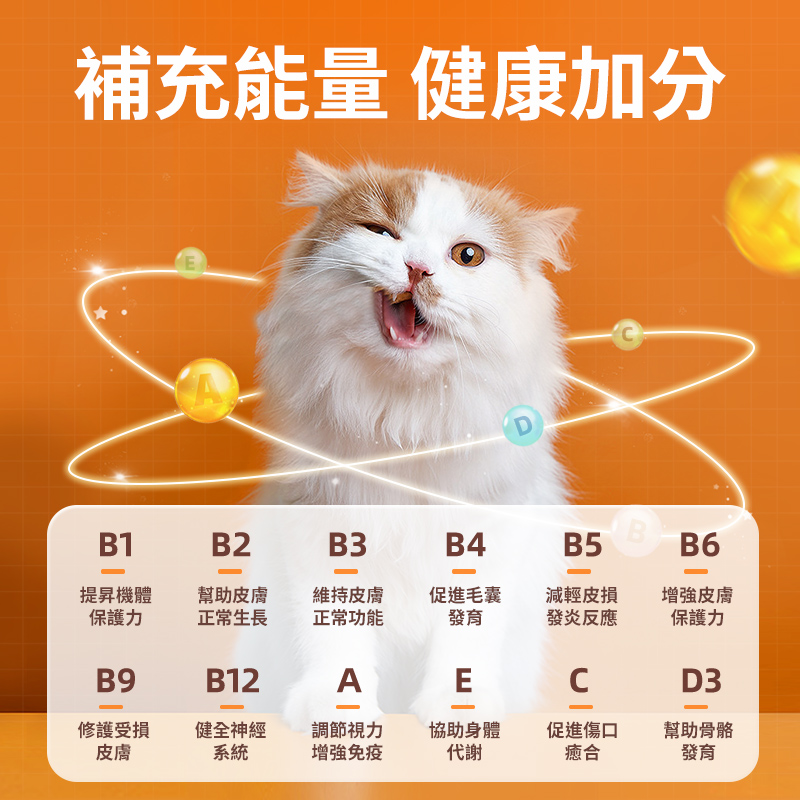 寵物復合維生素片