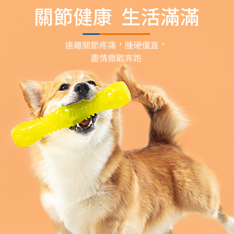 普安特力維加軟骨素