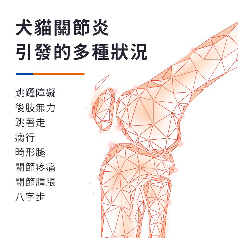 普安特力維加軟骨素