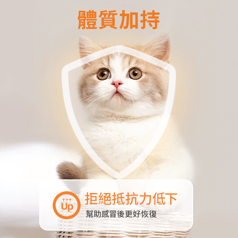 寵物復合維生素片