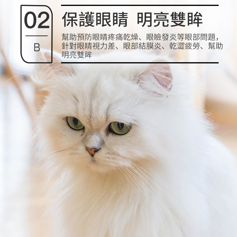 寵物維生素b溶液