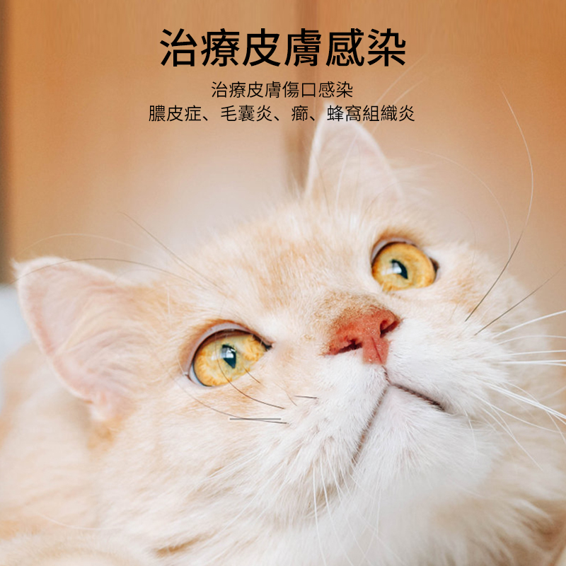 寵物頭孢消炎藥