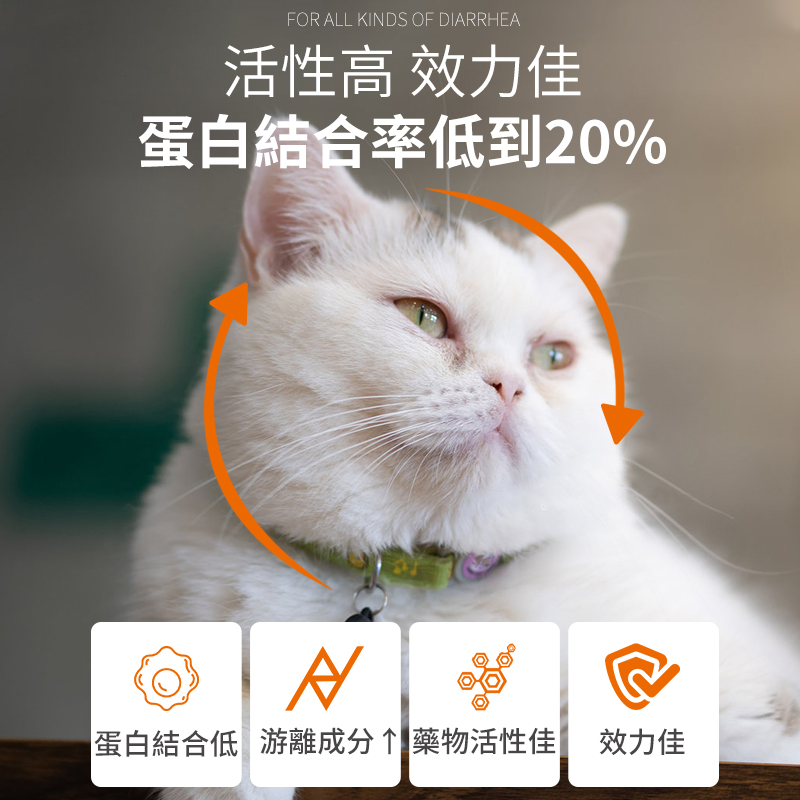 寵物頭孢消炎藥