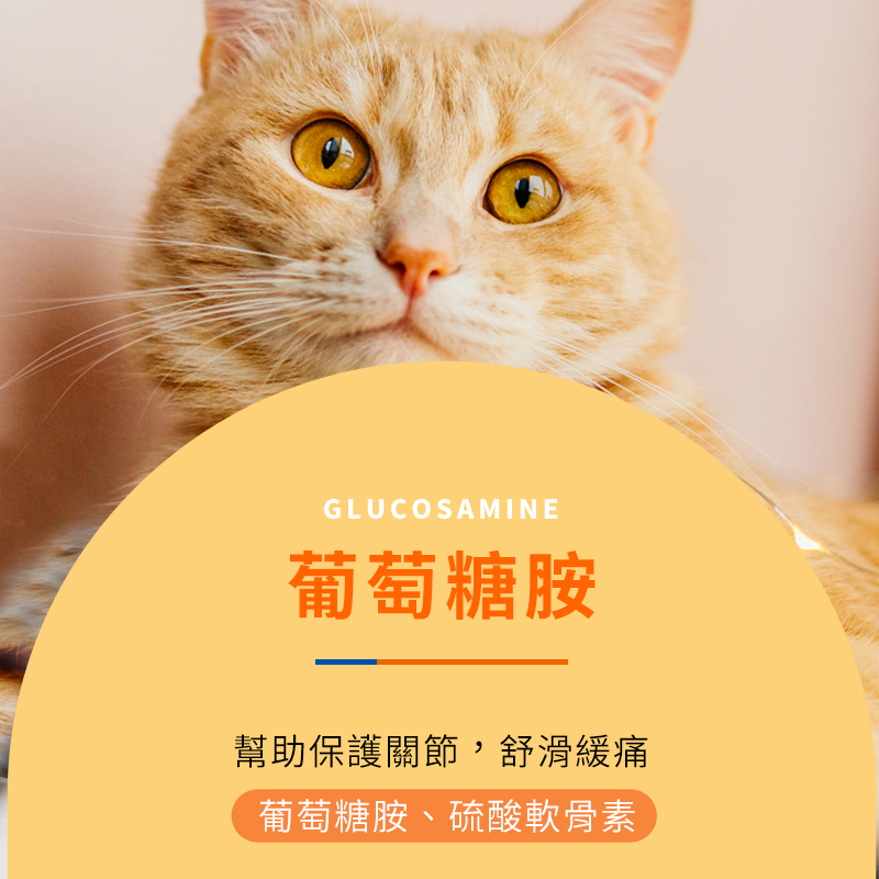 普安特力維加軟骨素