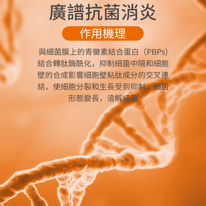 寵物頭孢消炎藥