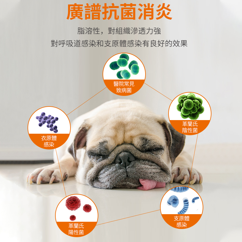 藥弗諾多-犬用感冒/咳嗽/氣喘肺炎