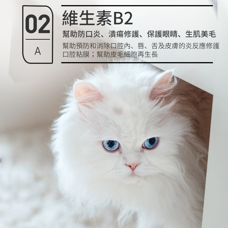 寵物維生素b溶液