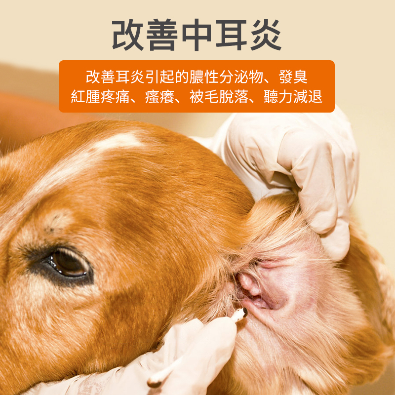 寵物頭孢消炎藥