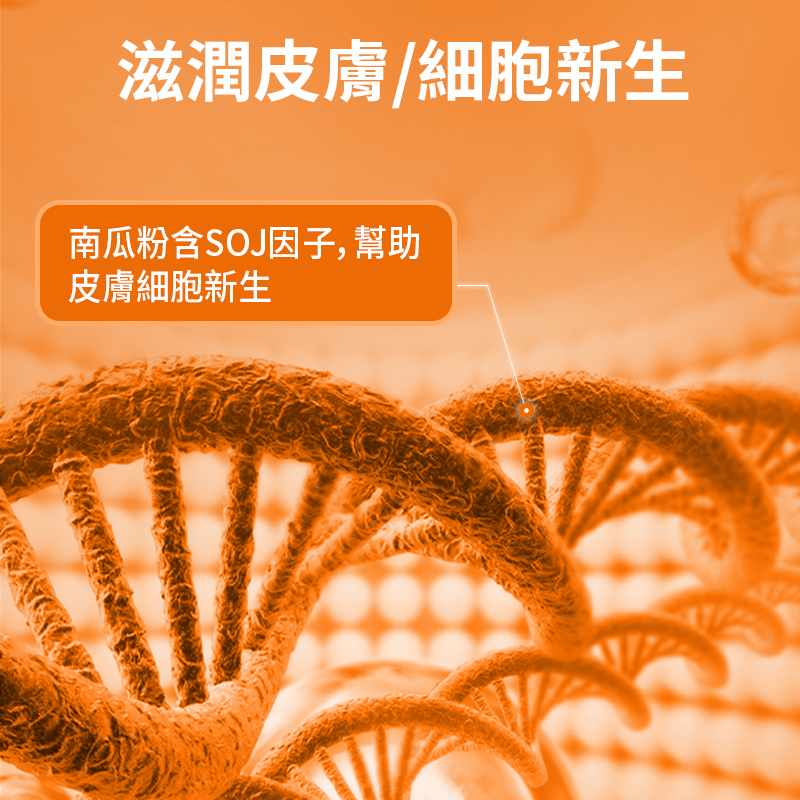 普安特貓用卵磷脂