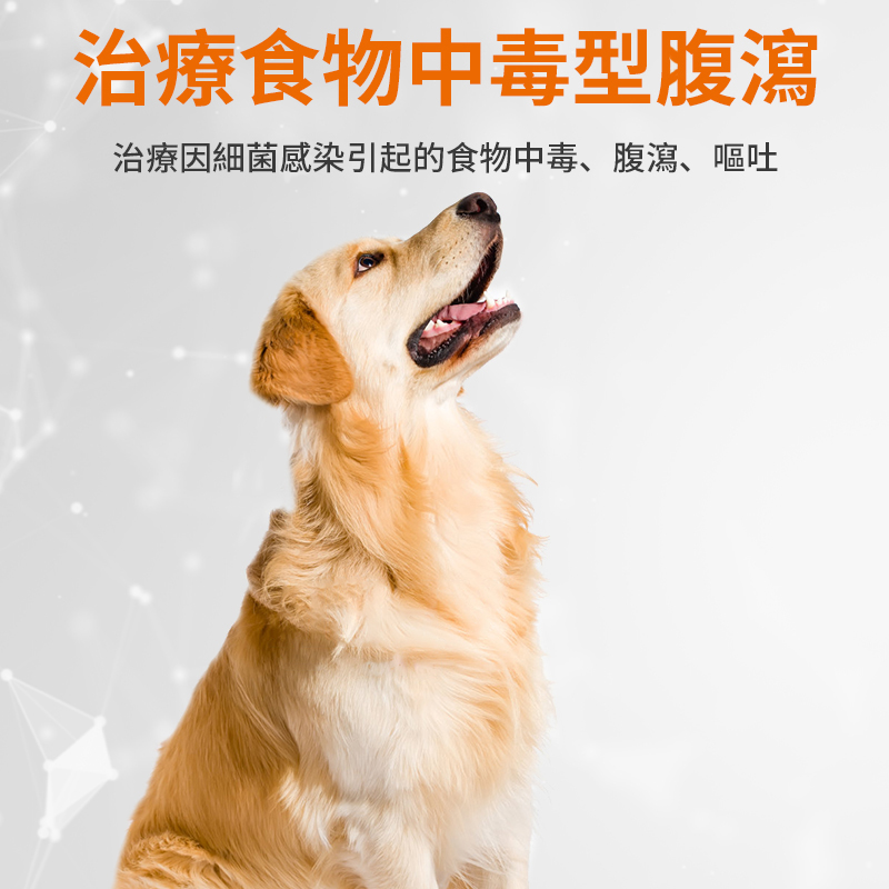 寵物腸道感染腸胃炎腹瀉達適寧