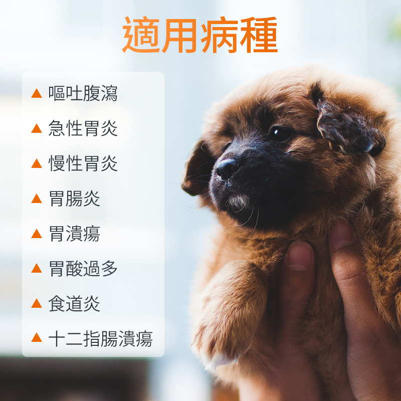 吐黃水寵物嘔吐普西丁片