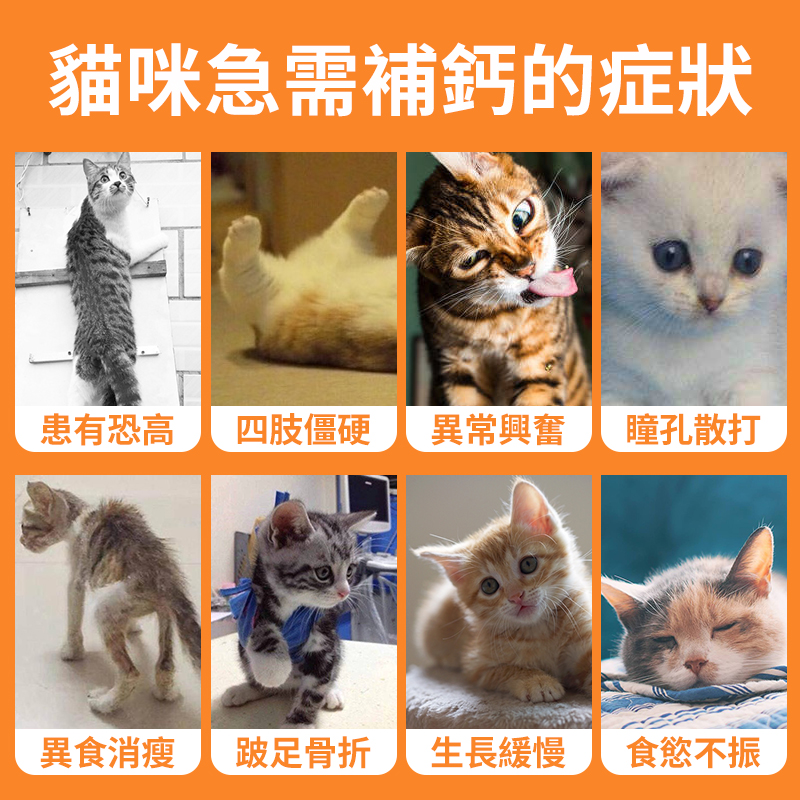 寵物高能乳鈣片