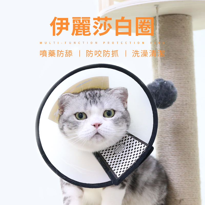 寵物防舔咬伊利沙白脖圈