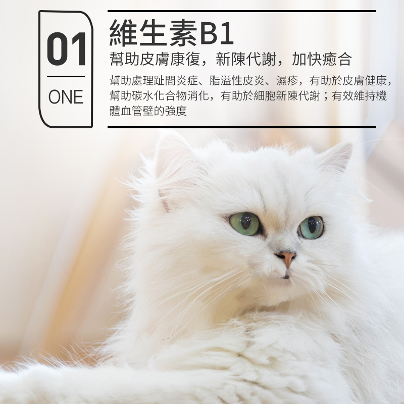 寵物維生素b溶液