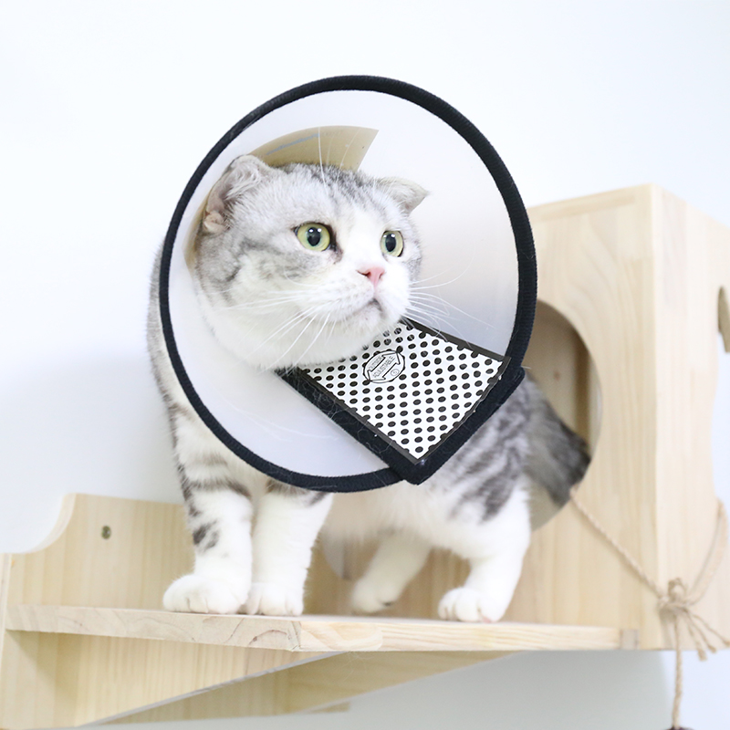 寵物防舔咬伊利沙白脖圈