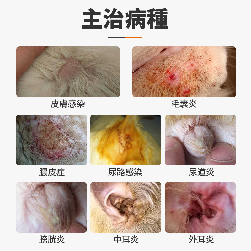 寵物頭孢消炎藥