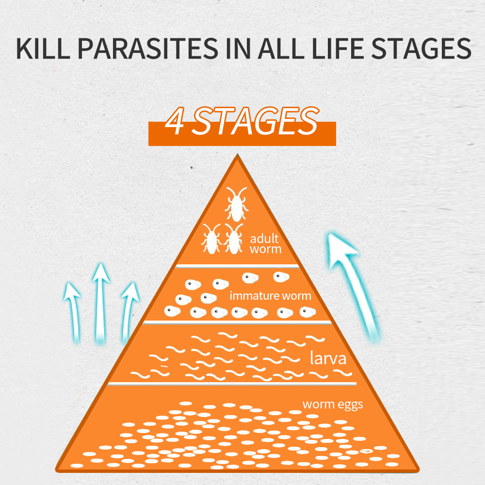 Puainta  Internal Deworming