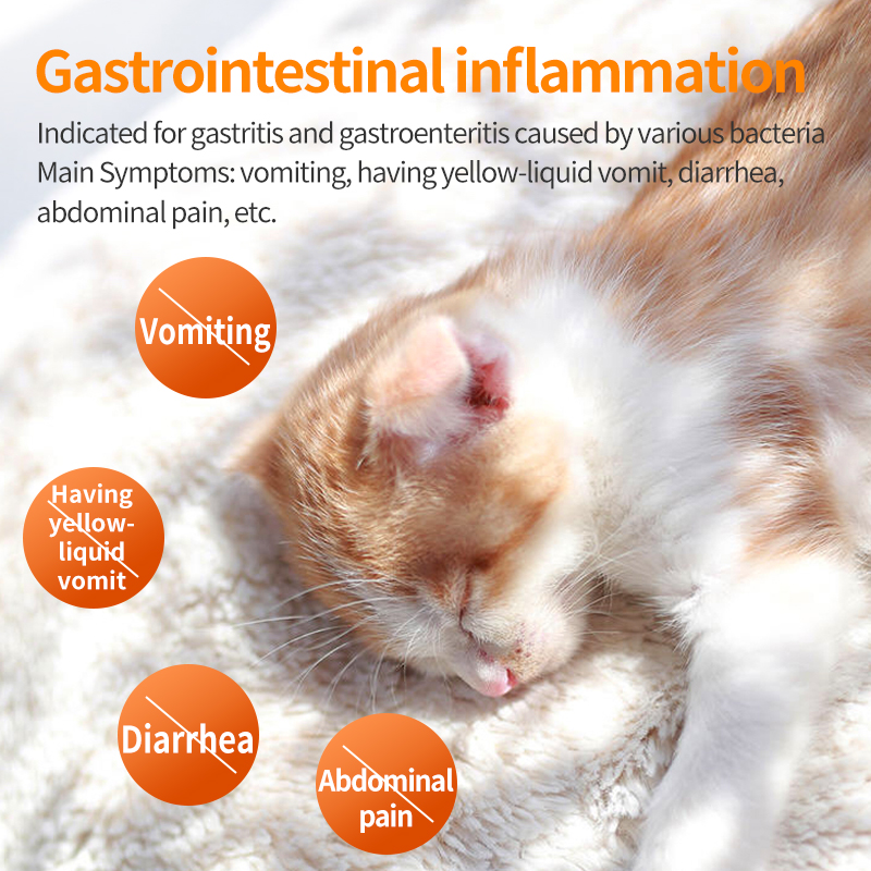   Tablets for Anti-inflammatory