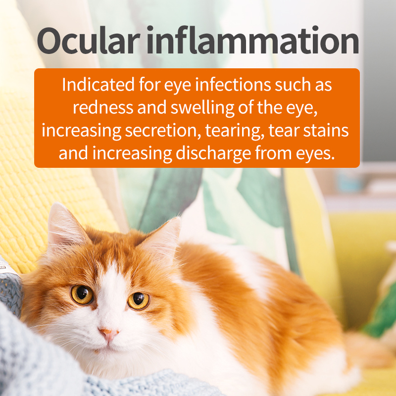   Tablets for Anti-inflammatory