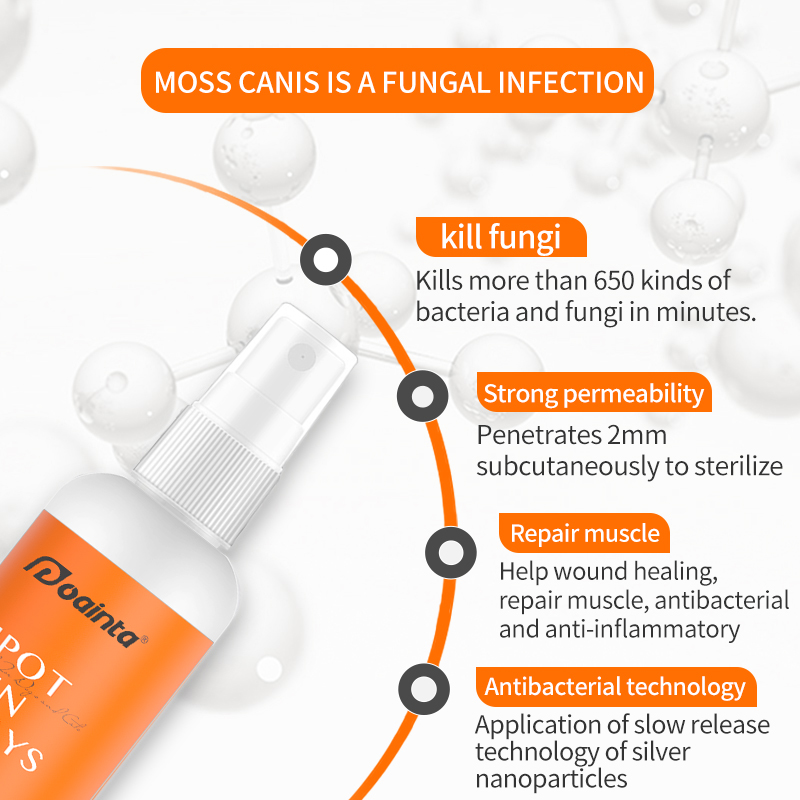 Puainta™ Skin Spray, Wound Healing + AntiItch & Antiseptic + Allergy