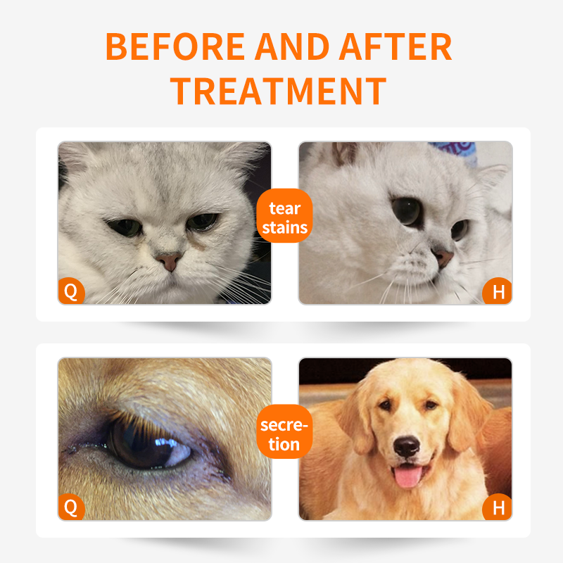 Puainta™ Boric Acid Eye Drops/ Eye Wash for Dogs and Cats