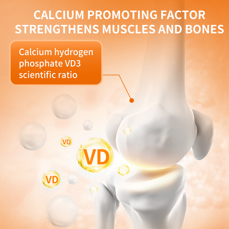 Lecithin Supplements for Cats