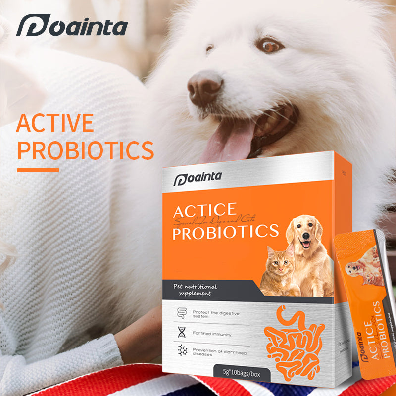 Canine probiotic supplement best sale