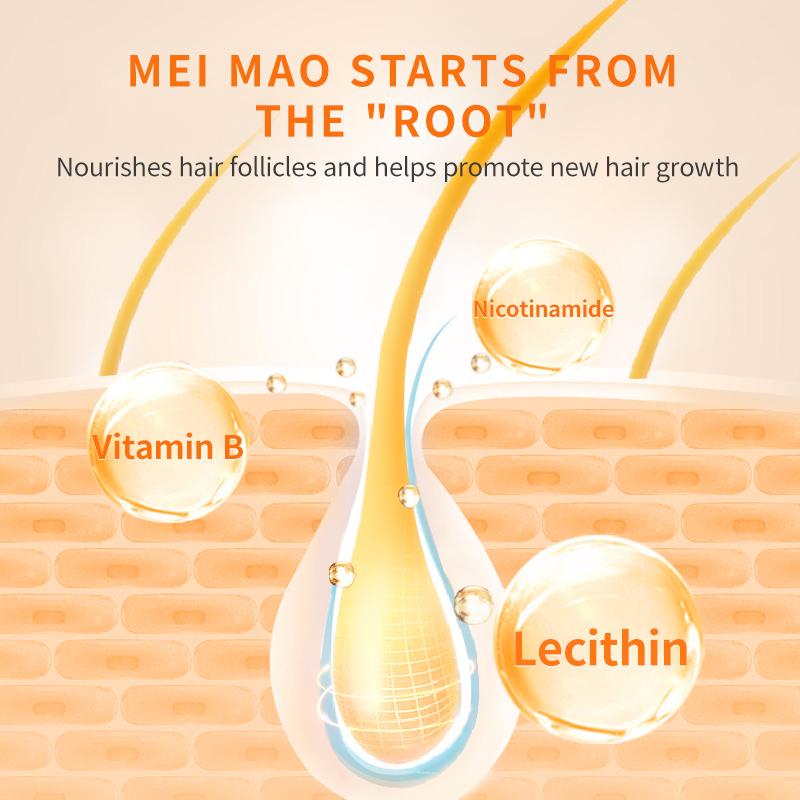 Lecithin Supplements for Cats