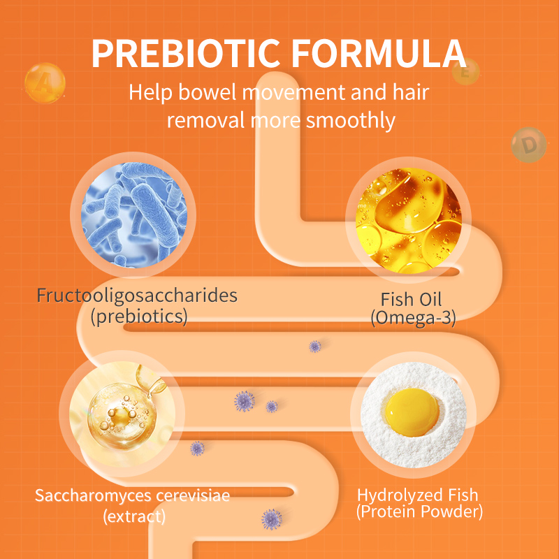 [Copy]  All-Round Nutritional Supplements 【120g】
