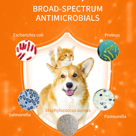 Acute Diarrhea ReliefTablets