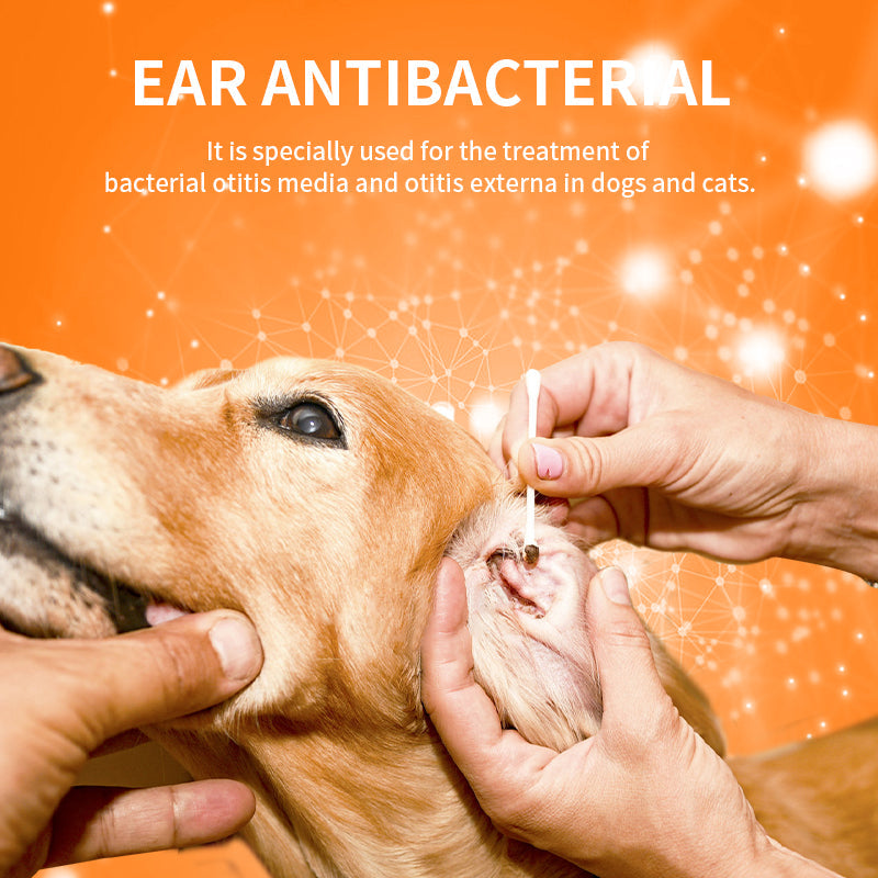 Ear Inflammation - Ear Drops