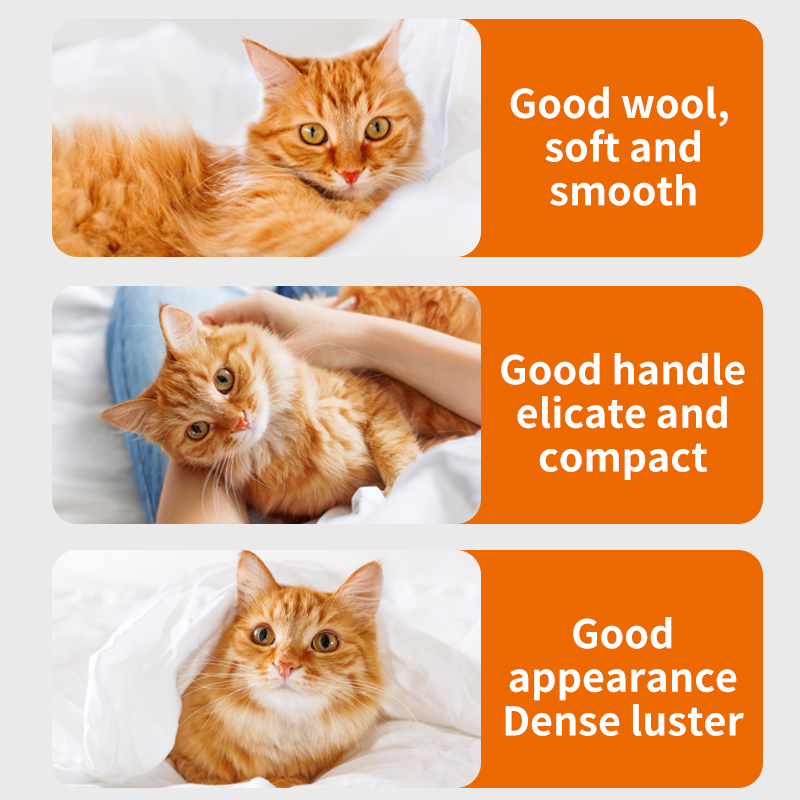 Lecithin Supplements for Cats