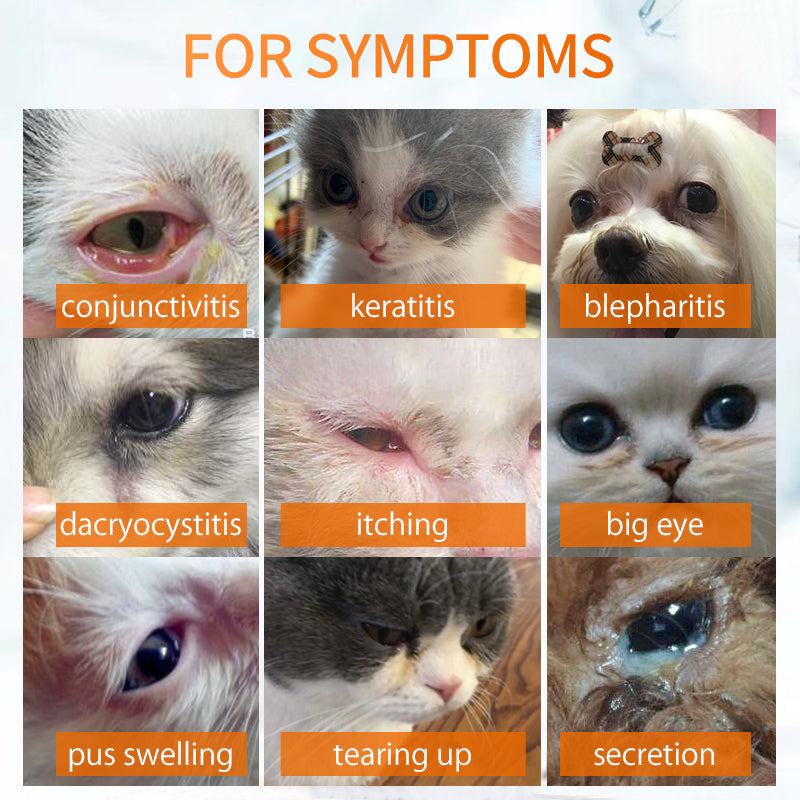 Puainta™ Conjunctivitis -Ophthalmic Suspension