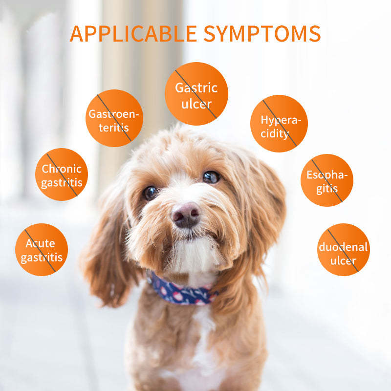 Gastroenteritis Treatment Vomiting ReliefTabletsFor dogs & cats