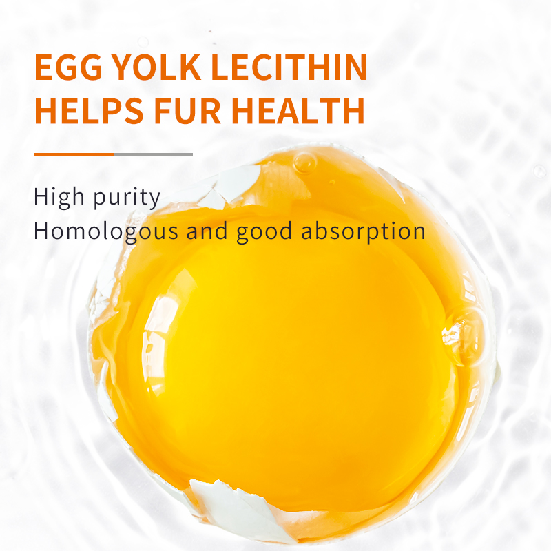 Lecithin Supplements for Dogs, 300g