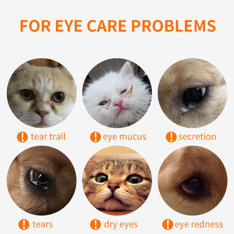 Puainta??? Boric Acid Eye Drops/ Eye Wash for Dogs and Cats