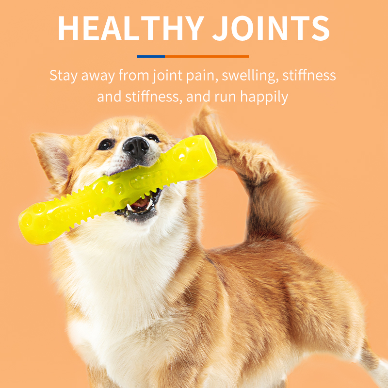 Chondroitin Joint Supplements