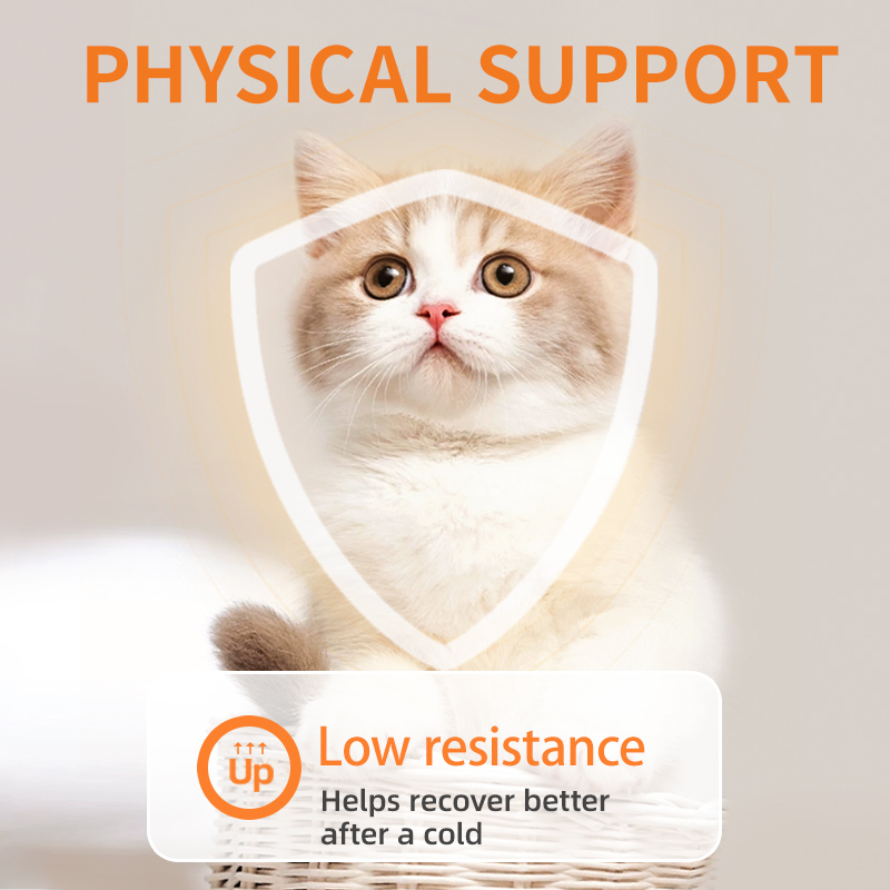 Puainta™ Multivitamin Chews, 200 counts