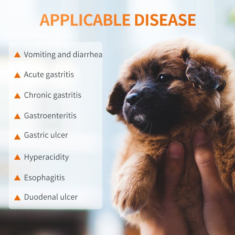 Gastroenteritis Treatment Vomiting ReliefTablets