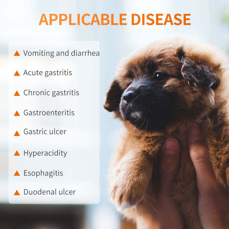 Gastroenteritis Treatment Vomiting ReliefTabletsFor dogs & cats