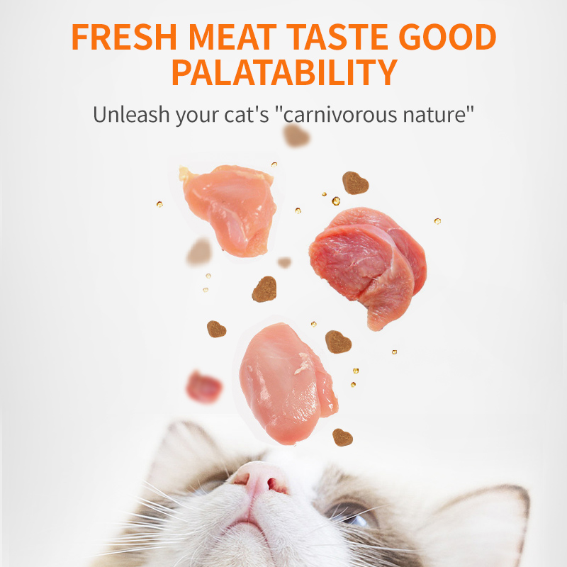 Lecithin Supplements for Cats