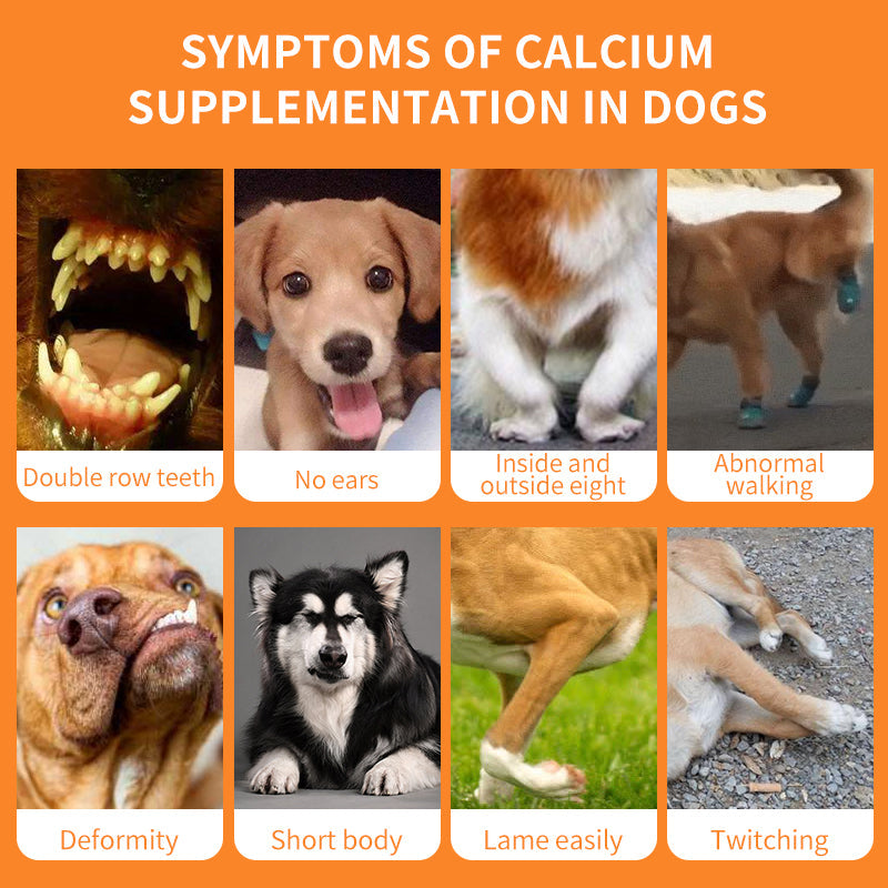 Calcium-Phosphorus Plus Vitamin D3 Powder Joint Supplement