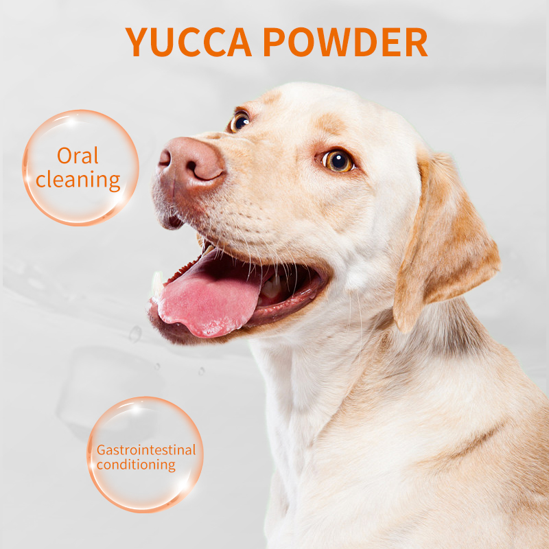 Pet Tooth Cleaning Powder, 30g