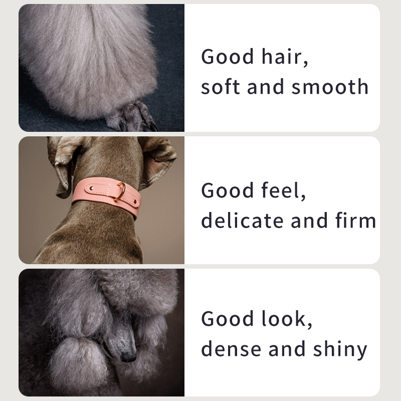 Lecithin Supplements for Dogs, 300g