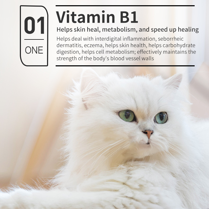 Vitamin B Complex Solution