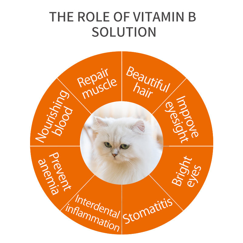 Vitamin B Complex Solution