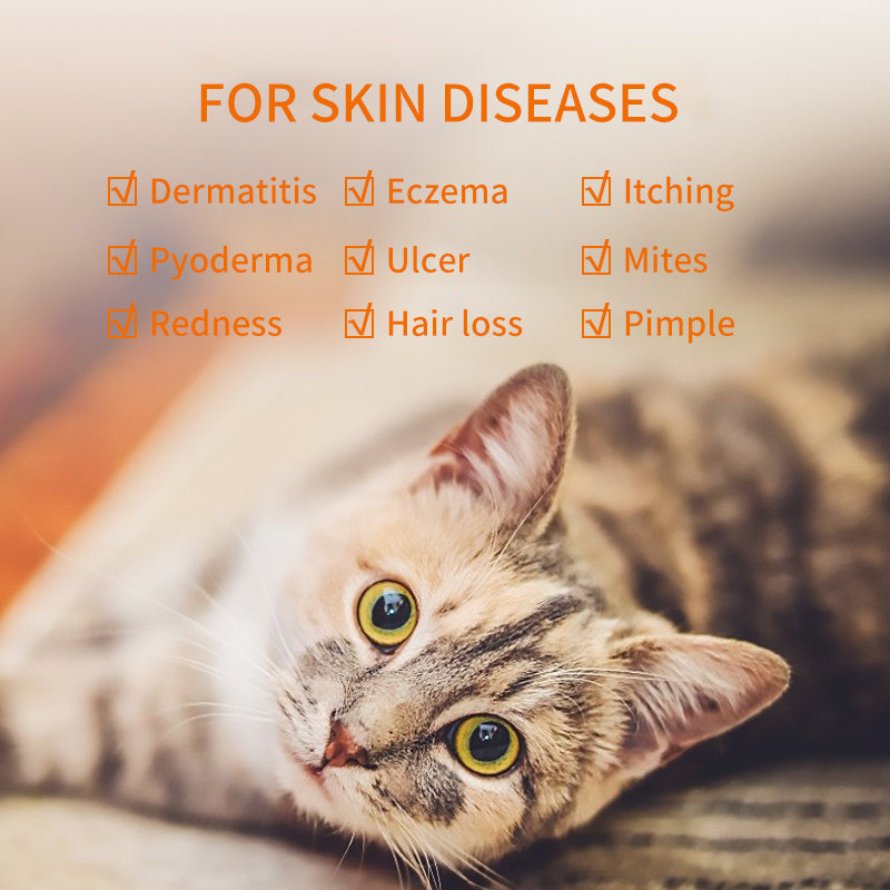 Dermatitis/Eczema -Ointment