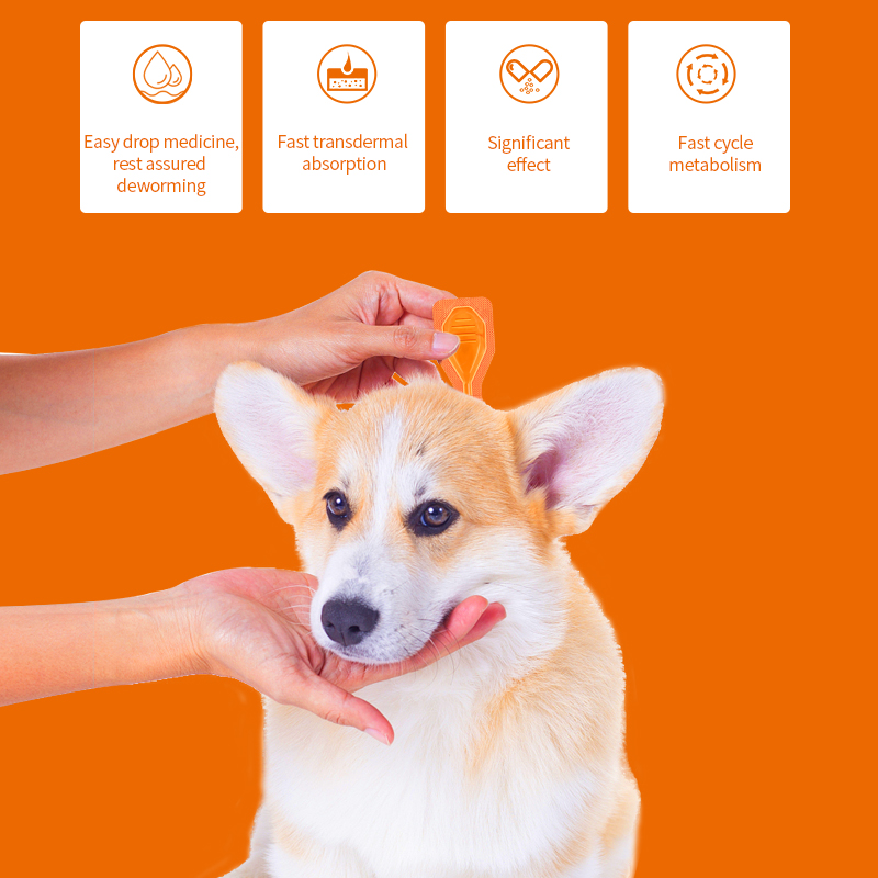 Flea & Tick Defense Spot-on Solution{Discounted price}