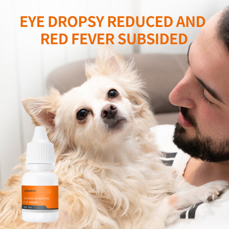 Puainta™ Conjunctivitis -Ophthalmic Suspension